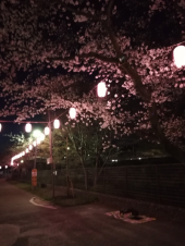 春風邪ダウン寝込む 画像1