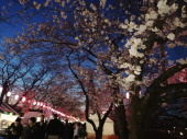 春風邪ダウン寝込む 画像2