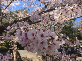 no title 画像2