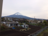 今日は曇り 画像1