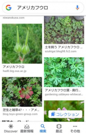 no title 画像1