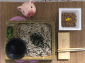 4月24日（水）
