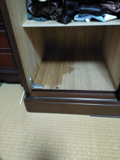 えらいこっちゃ 画像2