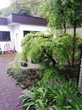 GW☆何もしない! 画像3