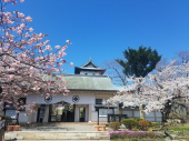 松前城 画像1