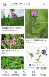 no title 画像1
