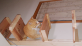 わだすの連休の過ごし方は 画像2