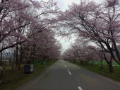 スタンバイ 画像1