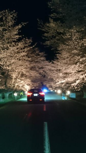 夜桜お七 画像1