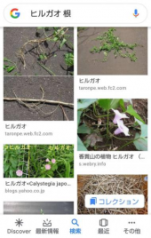 no title 画像1