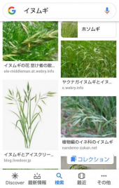 no title 画像1