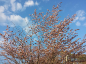入院前の最後の運動 画像1