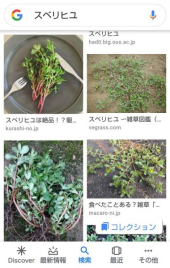 no title 画像1