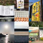 2,446段 画像3