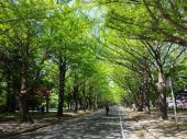 午後、久し振りに落とす 画像1