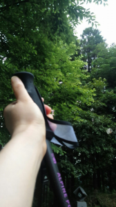 石段33回目 画像1