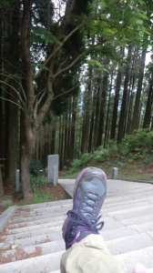 石段33回目 画像2