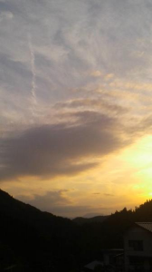 ２０１９/５/３０ 画像1