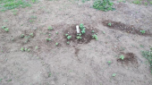 no title 画像2