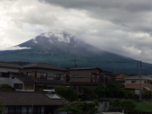 梅雨らしい 画像1