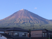 歩けた 画像1