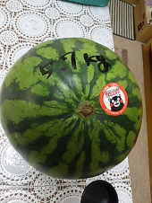 初スイカとパン 画像1