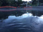 休みます 画像3