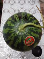 スイカ2個目、スーパー 画像1
