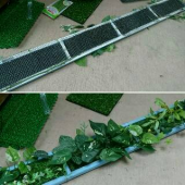 ウォールグリーン 画像1