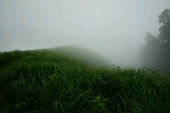 7月の岩湧山 画像2
