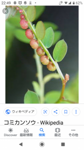 no title 画像3