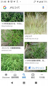 no title 画像3