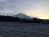 今日も歩けた 画像2