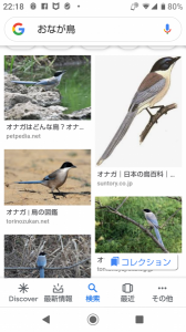 no title 画像1