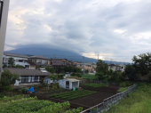 雨です 画像1