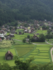 ３回忌 画像3