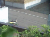 火曜ＳＣ休館日／晴れ 画像2