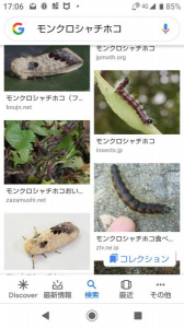 no title 画像1