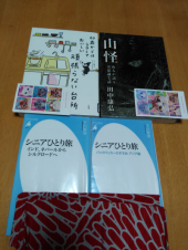 サルスベリが綺麗だった 画像2