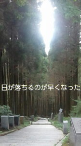 石段　44回目 画像1