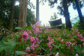 岩湧山 画像1