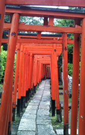 根津神社で大吉♪ 画像3