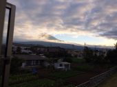 食い意地 画像1