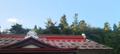 腰がイタタタ…↓ 画像1