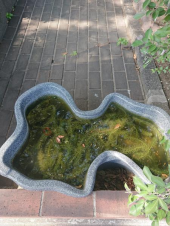 スーパーへ 画像2
