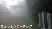 石段　49回目 画像2
