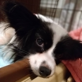 ☆今日もかわいい〜☆ 画像1