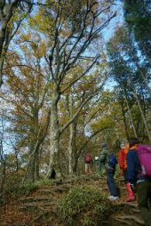 久しぶりの山頂鍋パー 画像1