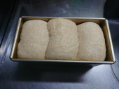 ひろちゃんに決定と友達とランチ 画像2