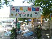 ヘイポーの1日 画像1